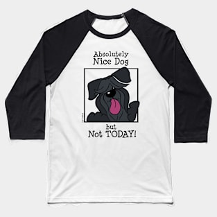 Absolutely nice dog - but not today! Baseball T-Shirt